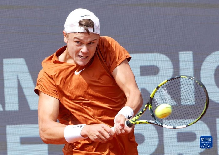 森林狼整体 森林狼整体