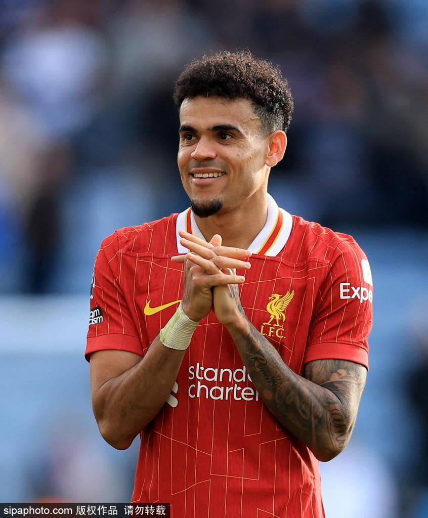 似乎找到了 似乎找到了